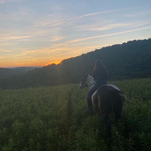 Meet your Posher, Julia - Picture 1 of 1